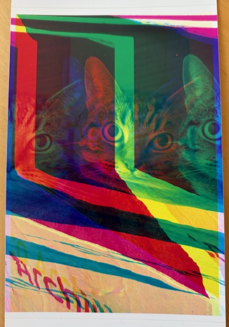 A cat, but not as we know it